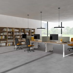 R60_1